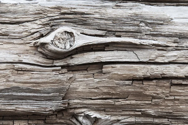 Fundo de madeira marrom ou textura com Knothole, espaço de cópia — Fotografia de Stock