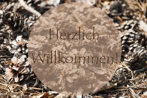 Tarjeta de felicitación de otoño, Willkommen significa Bienvenido — Foto de Stock