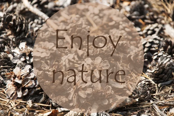 Outono de cartão, citação desfrutar da natureza — Fotografia de Stock