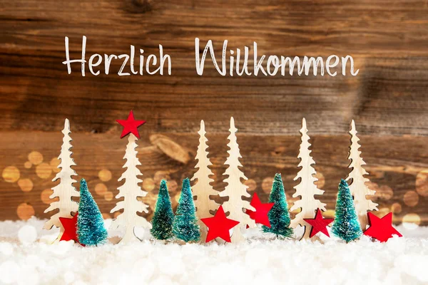 Χριστουγεννιάτικο Δέντρο, Χιόνι, Κόκκινο Αστέρι, Willkommen σημαίνει Καλώς ήρθατε, Ξύλινο φόντο — Φωτογραφία Αρχείου