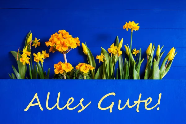 Flores de primavera, Tulipán, Narciso, Texto Alles Gute significa los mejores deseos — Foto de Stock
