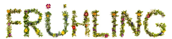 Flor e flor letra construção palavra fruehling significa primavera — Fotografia de Stock
