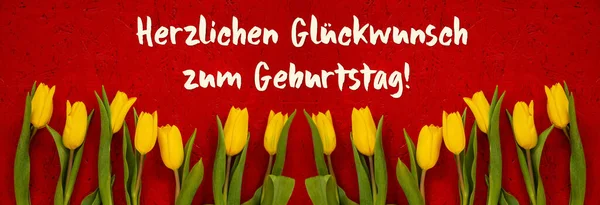 Banner von gelben Tulpenblumen, rotem Hintergrund, Geburtstag bedeutet Geburtstag — Stockfoto