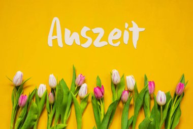 Renkli Lale, Metin Auszeit İzin Zamanı, Sarı Arkaplan