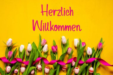 Renkli Lale, Herzlich Willkommen Hoşgeldiniz demek, Paskalya Yumurtası, Sarı Arkaplan