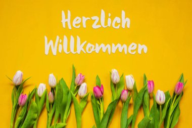 Renkli Lale, Metin Herzlich Willkommen Hoş Geldiniz, Sarı Arkaplan