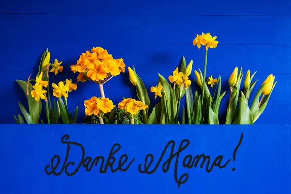 Voorjaarsbloemen, Tulp, Narcissen, Tekst Dank je wel Mama — Stockfoto