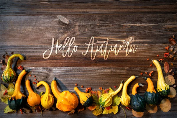 Colorful Pumpkins As Autumn Season Decoration, Text Hello Autumn — Stock Photo, Image
