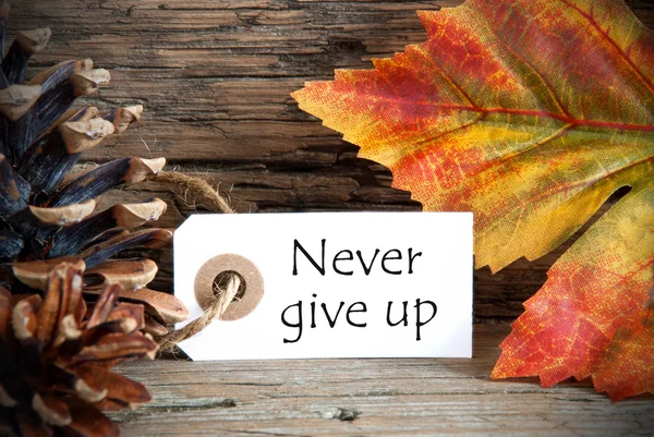 Autumn Label with Never Give Up — Stock Photo, Image