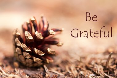 Fir Cone with Be Grateful clipart
