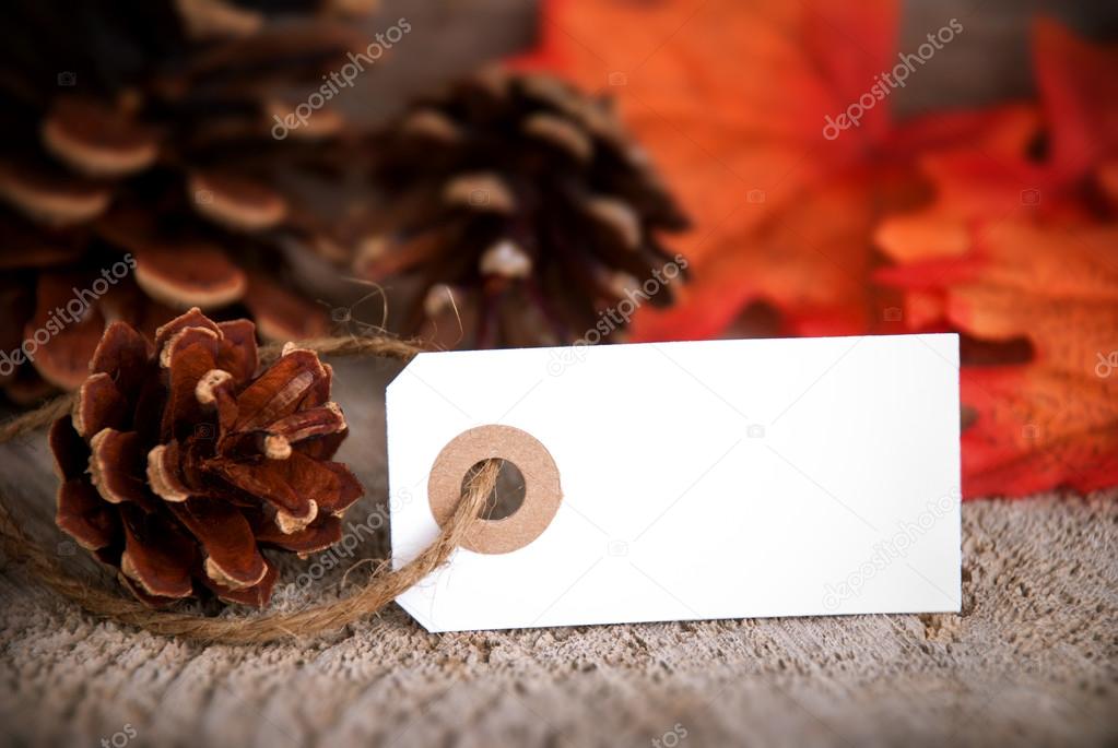Autumn Background with Empty Label
