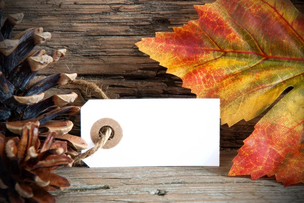 Banner met kopie ruimte en herfst decoratie — Stockfoto