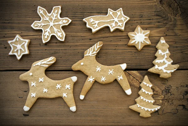 Reindeer Couple with Stars — Stock Photo, Image