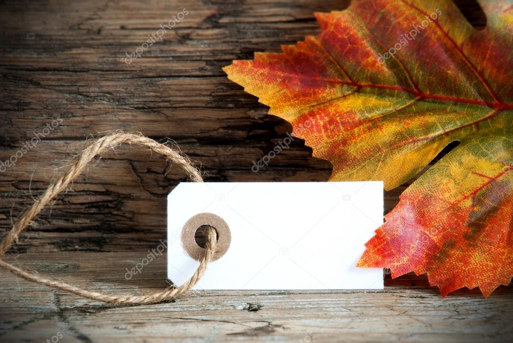 Background with Empty Label and Autumnal Decoration