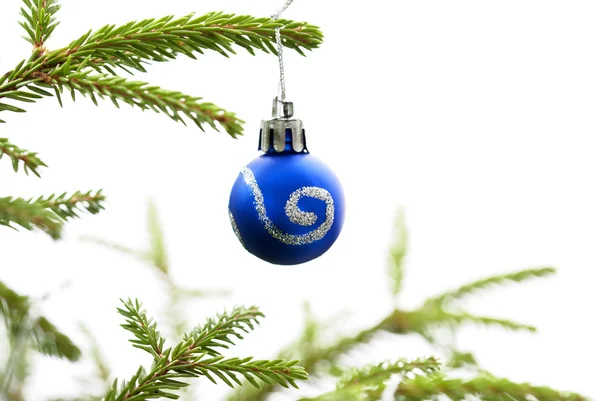 Tannenbaum mit blauer Weihnachtskugel — Stockfoto