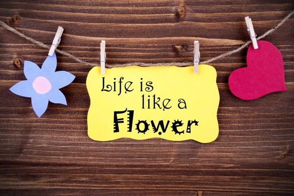 Etiqueta amarela dizendo que a vida é como uma flor — Fotografia de Stock