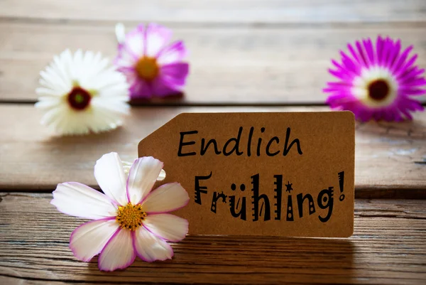ドイツ語のテキスト Endlich Fruehling Cosmea 花付きのラベル — ストック写真