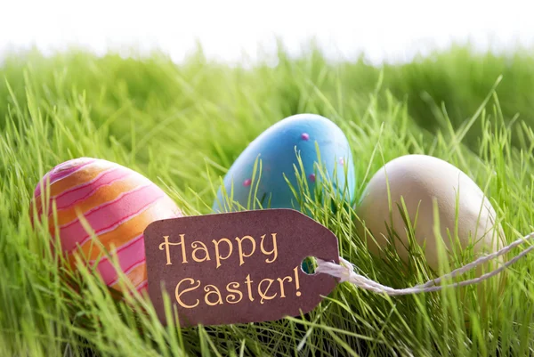 Feliz Pascua de fondo con coloridos huevos de Pascua y etiqueta — Foto de Stock