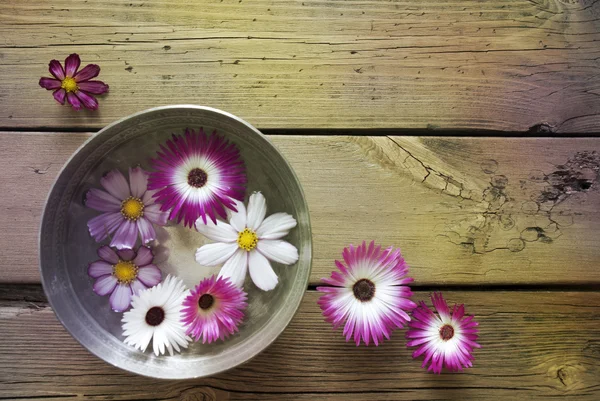 Stříbrná mísa s Cosmea květy a kopírovat prostor — Stock fotografie