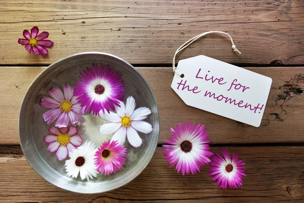 Cuenco de plata con flores de Cosmea con cita de vida en vivo por el momento — Foto de Stock