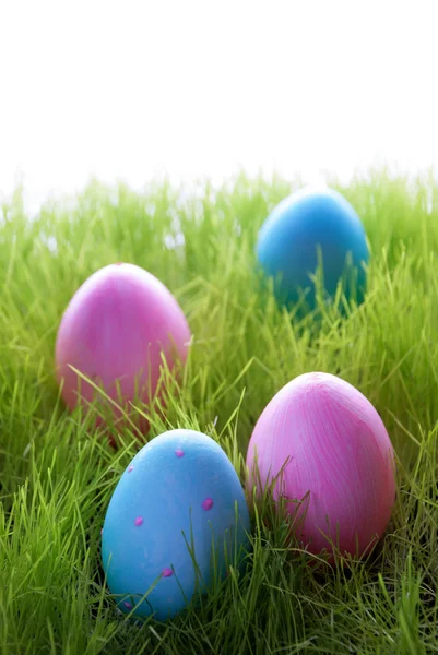Veel roze en blauwe Pasen eieren op groen gras — Stockfoto