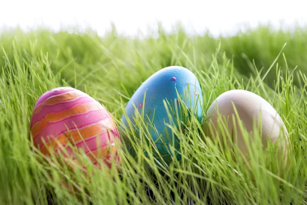 Drie kleurrijke Pasen eieren op groen Gras — Stockfoto