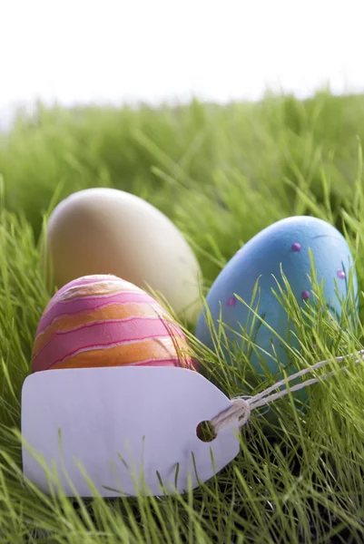 Drei bunte Ostereier mit leerem Etikett für Kopierraum — Stockfoto