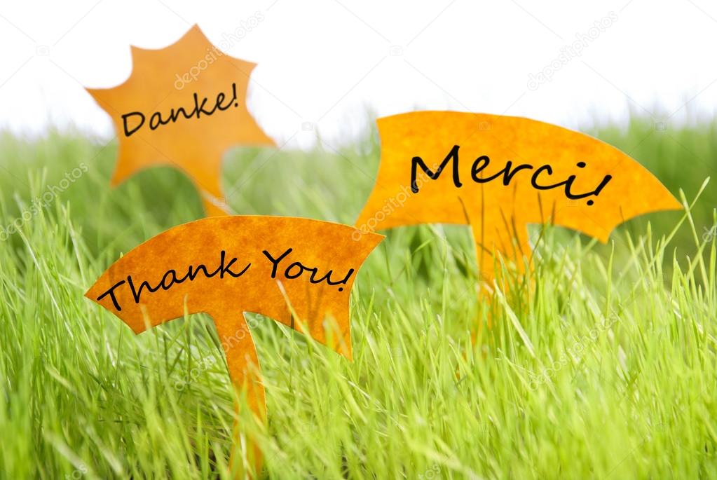 Three Labels With Thank You In Different Languages On Grass