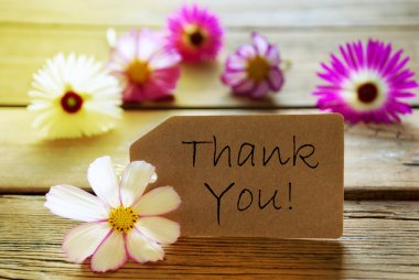 Metin teşekkür ederiz Cosmea çiçekleri ile güneşli etiket