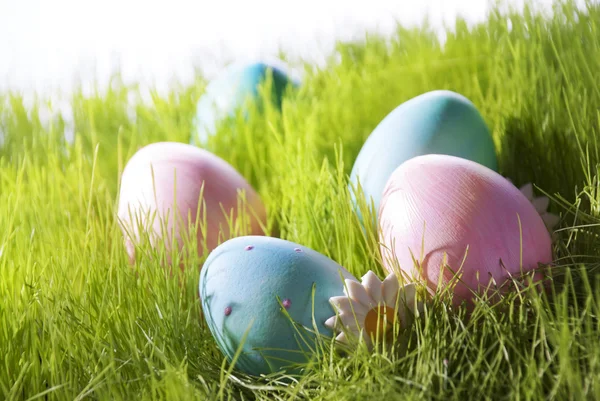 Veel decoratieve Pasen eieren op groen gras met Marguerite bloesem — Stockfoto