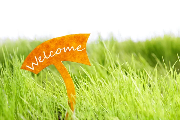 Label With Welcome On Green Grass — Stock Photo, Image