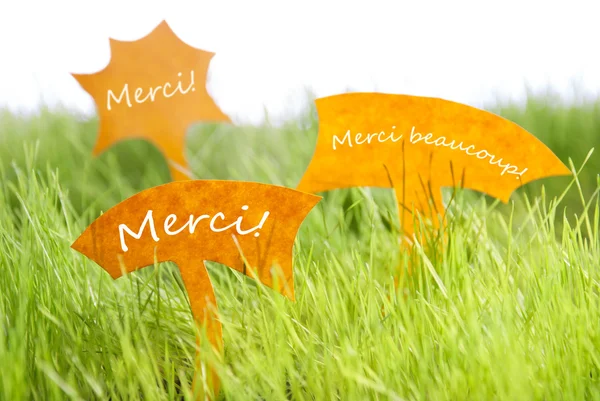 Tre etiketter med franska Merci vilket betyder Tack på gräs — Stockfoto