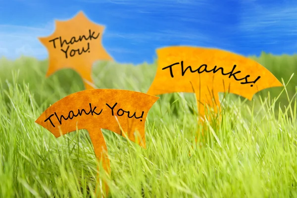 Три ярлыка с благодарностью и благодарностью и голубым небом — стоковое фото