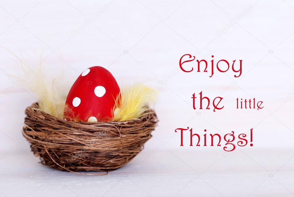 One Red Easter Egg In Nest With Life Quote Enjoy Little Things