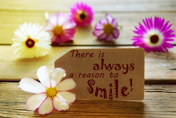 Sunny Label Life Quote There Is Always A Reason To Smile With Cosmea Blossoms — Stock Photo, Image