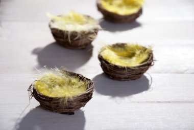 Paskalya sepeti yuvanın sarı tüy ile yakın çekim