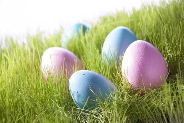 Veel decoratieve Pasen eieren op groen gras — Stockfoto