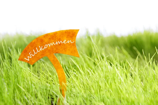 Label With German Willkommen Which Means Welcome On Green Grass — Stock Photo, Image