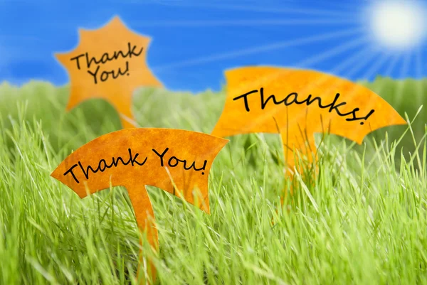 Three Labels With Thank You And Thanks And Blue Sky And Sun — Stock Photo, Image