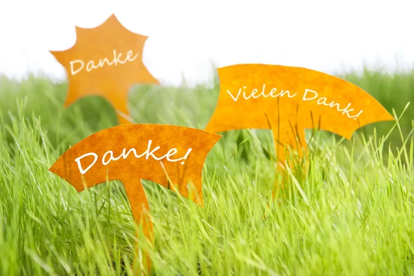 Tři štítky s německým Danke, což znamená Děkuji na trávě — Stock fotografie
