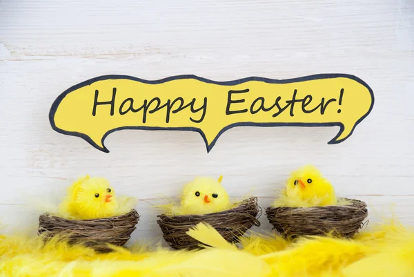 Trois poussins avec ballon de parole BD Joyeux Pâques et plumes — Photo