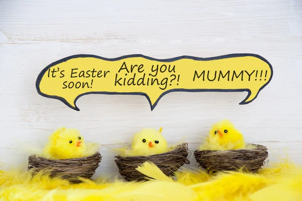 Drie Easter Chicks met komische Speech ballon een grap te vertellen — Stockfoto