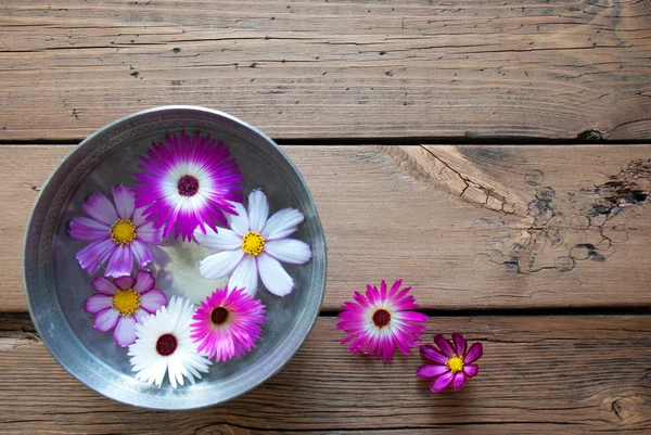Silver Bowl With Cosmea Blossoms And Copy Space — Stock Photo, Image