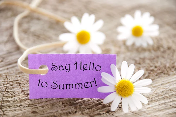 Purpurový štítek s života citovat Řekni ahoj léto a Marguerite květy — Stock fotografie