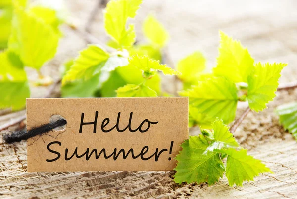 Brown Label With Hello Summer And Green Branches — Stock Photo, Image