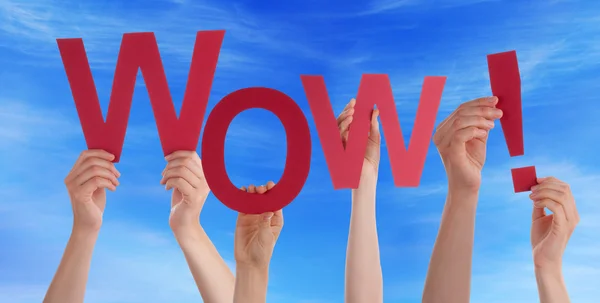 Many People Hands Holding Red Word Wow Blue Sky — Stock Photo, Image