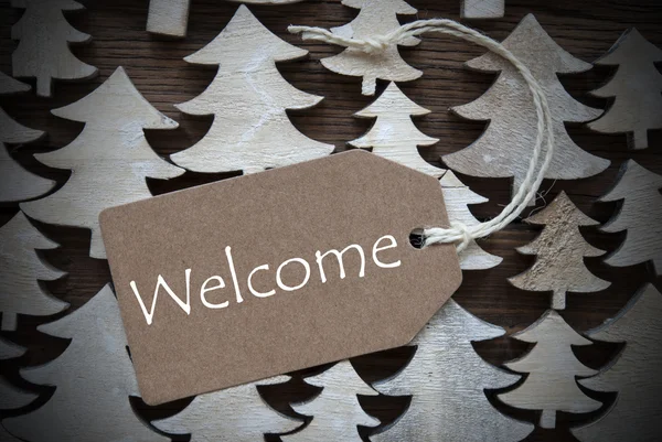 Brown Christmas Label With Welcome — Stock fotografie