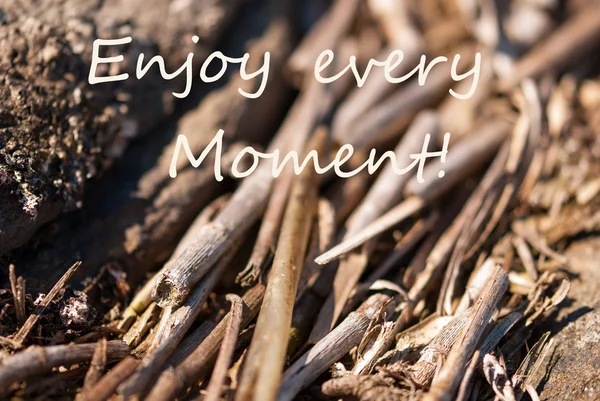 Bamboo Background Enjoy Every Moment — Stock Photo, Image
