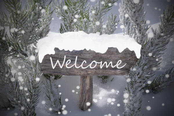 Christmas Sign Snowflakes Fir Tree Text Welcome — Stockfoto