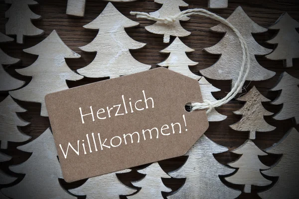 Marca de Natal marrom Willkommen significa bem-vindo — Fotografia de Stock